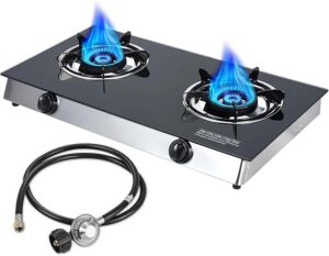 Llamaviva Cuisinière à gaz propane à 2 brûleurs