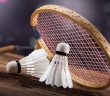 Quel équipement badminton choisir ?