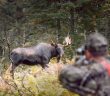 Quel accessoire de chasse acheter pour une superbe jounée ?