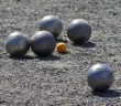 Quel pétanque choisir pour passer un bon moment ?