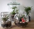 Quel accesoirs pour terrarium choisir ?